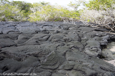 Galapagos-Natur41.jpg